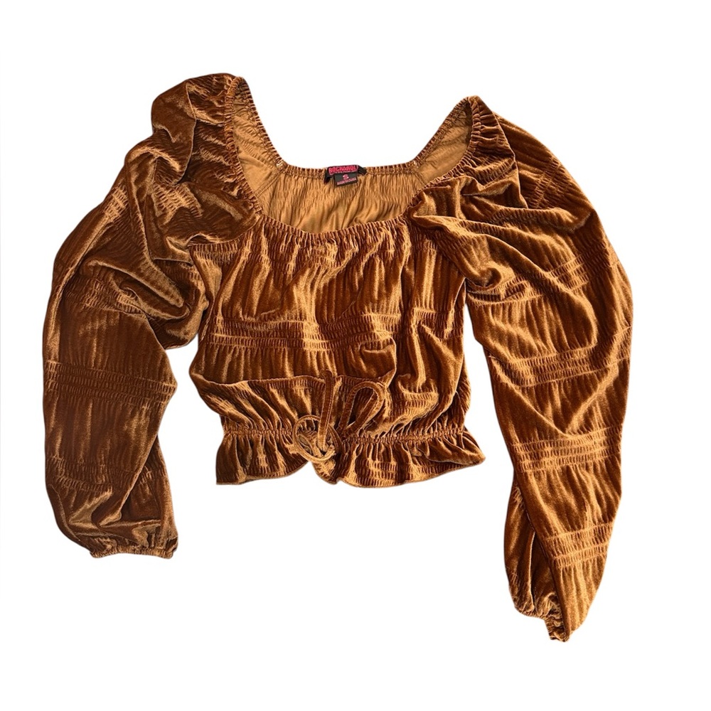 Chic Velvet Puff Sleeve Blouse in Tan